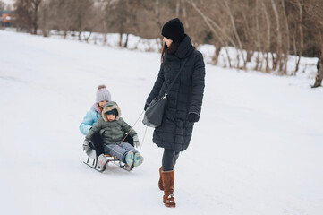 Fototapeta na wymiar A young woman, a beautiful brunette girl, a mother, rides her children, a little boy, her son, and a girl, her daughter, on a sled in the snow in winter. Photography, portrait, happy family concept.