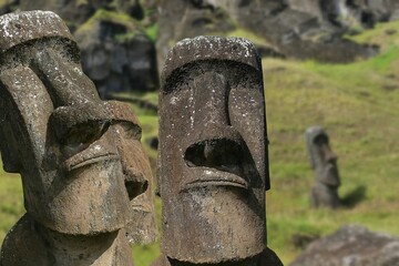 The Rano Raraku Moai are a series of monolithic volcanic stone sculptures located on Easter Island, Chile. They were carved by the Rapa Nui people,  between 1200 and 1700 AD.