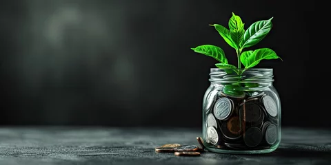 Fotobehang Growth concept with coins and plant symbolizing invest finance business money tree showing economy financial banking success leaf profit savings green nature in jar for retirement income economic © Thares2020