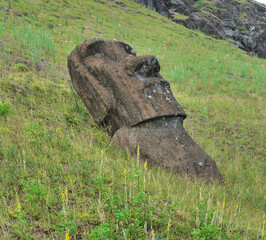 The Rano Raraku Moai are a series of monolithic volcanic stone sculptures located on Easter Island,...