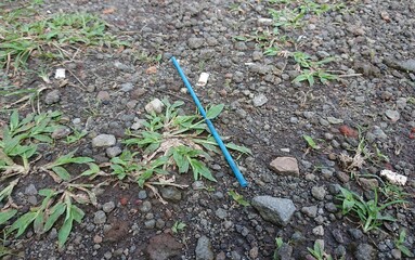 Blue Plastic Straw in the Ground