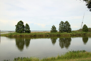 A view of the Florida Everglades