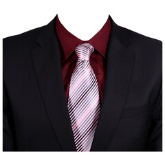 Mens Formal Striped Suit For Passport Size Photo,  Mens Office Suit Half Body Transparant Background Tie Coat