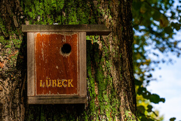 wooden bird house on a tree with the letters 
