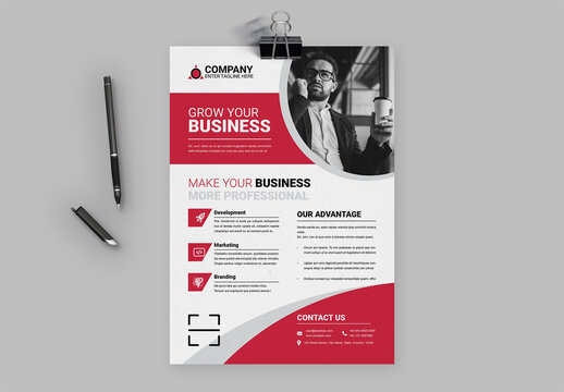 Business Flyer Design Template