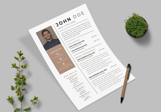 Resume Layout With Light Gray Accents