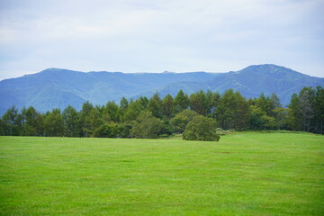 Fototapeta na wymiar 長門牧場から見える、美ヶ原方面