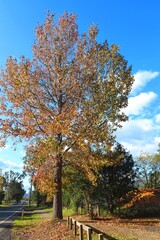 Kangaloon Valley  Village, New South Wales  Australia Country Landscape photography