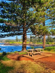 Picnic table at Kiama Village, Waterfront view landsape photography