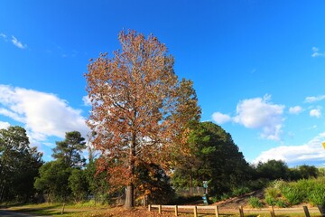 Kangaloon Valley  Village, New South Wales  Australia Country Landscape photography