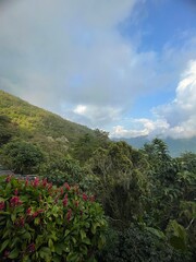 Paisajes Colombianos