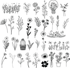 Wildflowers hand drawn, Flowers vector, Floral element illustration.