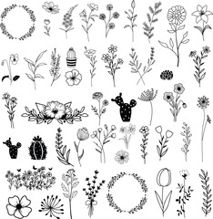 Wildflowers hand drawn, Flowers vector, Floral element illustration.