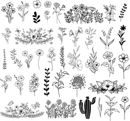 Wildflowers hand drawn, Flowers vector, Floral element illustration.