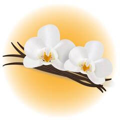 vector image of brown ripe vanilla sticks and two white aromatic vanilla flowers with a shadow isolated on the yellow background.