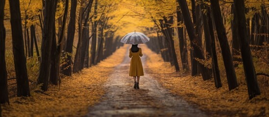 woman carrying umbrella walking among trees in autumn