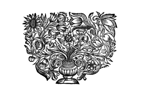 Antique floral ilustration from an old book from 1700