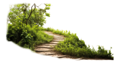 Fast Relief Nose Spray on Transparent Background