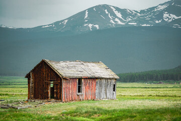 Fototapeta na wymiar Rustic old wooden house in a field of grass with snowcapped Mt. Massive in the background