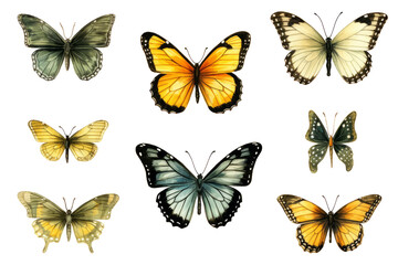 Collection of butterflies. Set of watercolor colorful butterfly cliparts. Elements for collage or scrapbooking design. Illustration of spring or summer decoration
