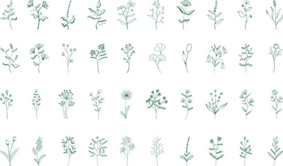 Set Of Flower Line Art