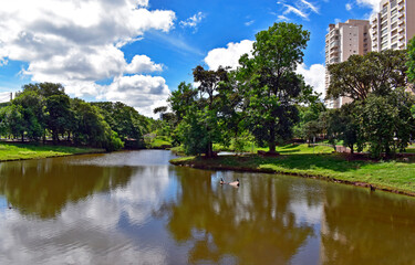 Fototapeta na wymiar Partial view of public park in Ribeirao Preto, Sao Paulo, Brazil
