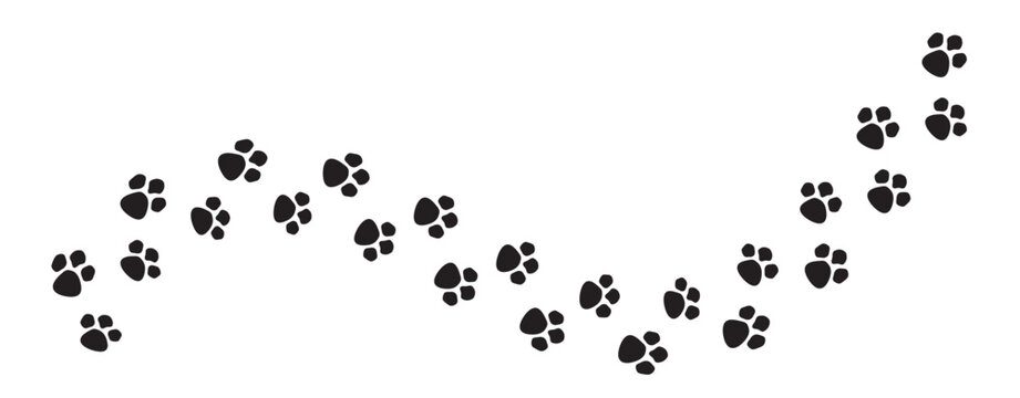 Paw vector foot trail print of cat. Dog, puppy silhouette animal diagonal tracks for t-shirts, backgrounds, patterns, websites, showcases design, greeting cards, child prints and etc.
