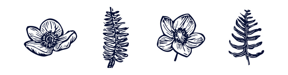 Handmade blockprint flower fern vector motif clipart set in folkart scandi style. Simple monochrome linocut floral leaf shapes with naive rural lineart collection. © Limolida Studio