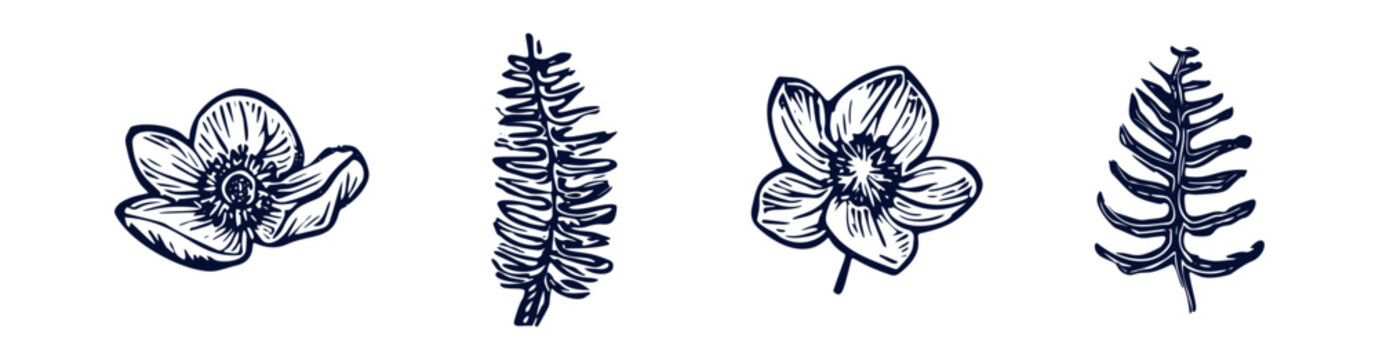 Handmade Blockprint Flower Fern Vector Motif Clipart Set In Folkart Scandi Style. Simple Monochrome Linocut Floral Leaf Shapes With Naive Rural Lineart Collection.