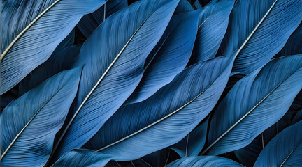 Blue Feather Texture on Black Background, Fabric Material Pattern Closeup Design Detail, Brown Color Vintage Silk