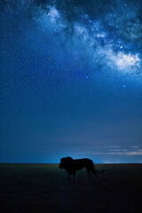 night on the African savanna a solitary animal strolls under a vast starry sky. AI generative