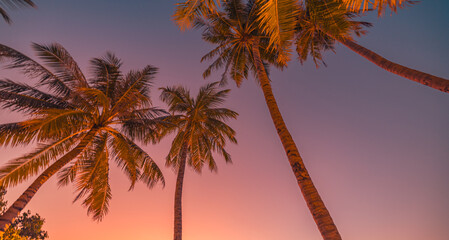 Silhouette coconut palm trees on beach at sunset. Vintage tone. Row of tropical palm trees romantic sunset sky. Gradient colors. Silhouette of deep palm trees. Tropical inspire calm evening landscape