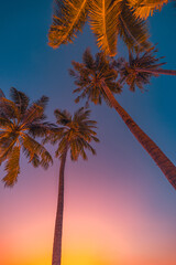 Silhouette coconut palm trees on beach at sunset. Vintage tone. Row of tropical palm trees romantic sunset sky. Gradient colors. Silhouette of deep palm trees. Tropical inspire calm evening landscape