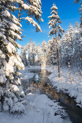 River flowing through the winter forest in Sweden