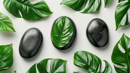massage leaves and black stones on a white background