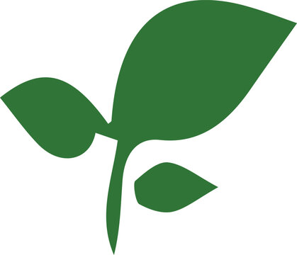 leaf logo of vector image