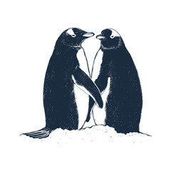 Penguins vector illustration. Penguins 