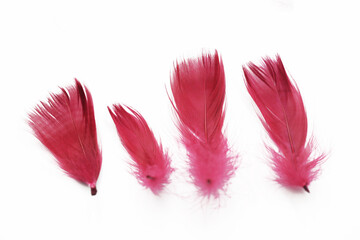 Feathers isolated on white. Bird feather cutout. Soft cotton background. Various shapes fluffy bird...