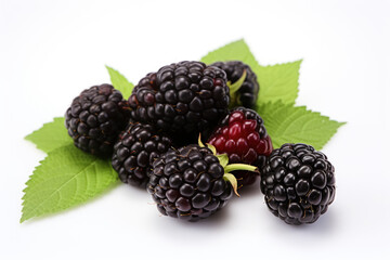 Blackberry fruit, isolated white background