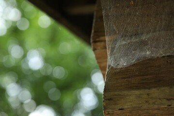 Cobweb on wooden building outdoors, closeup. Space for text