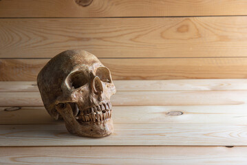 Vintage Wooden Table Featuring an Intriguing Skull Centerpiece, Blending Rustic Charm with a Touch...
