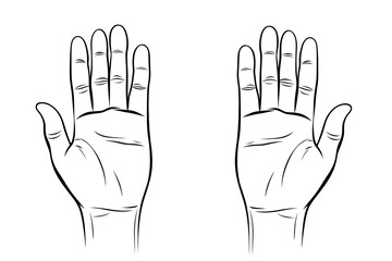 Vector line drawing illustration of two hands with open palms - obrazy, fototapety, plakaty