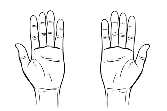 Vector line drawing illustration of two hands with open palms