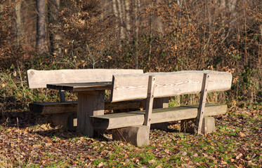 Wooden bench and picnic table in a park near a forest