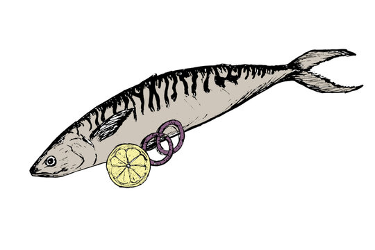 fish with lemon and onion rings clip art preview