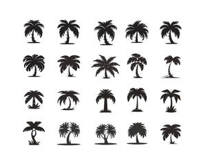 palm tree vector icons set. Silhouettes on the white background
