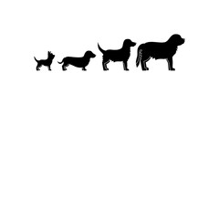 Vector silhouette of a dog on a white background.Collection of vector silhouettes of dogs, from small to big. Symbol of animal and pet.
