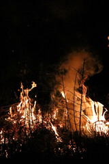 fire in the night
