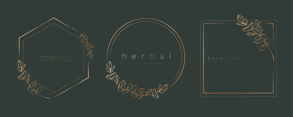 Botanical eucalyptus circle frame set. Hand drawn round line border, leaves and flowers for wedding invitation and cards, logo design, social media and posters template. Elegant minimal vector.	