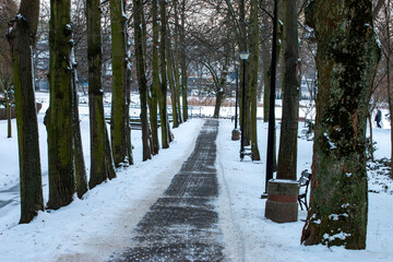 Park w zimowej scenerii, krajobraz 